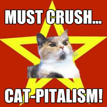 Illustration for article titled What is your favorite lolcat of all time?